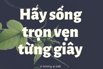 Sống trọn vẹn từng ngày